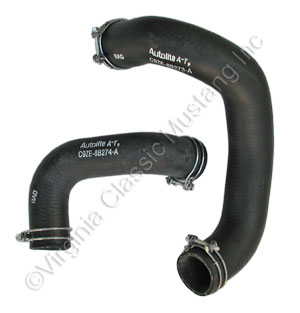 69-70  250 6 CYLINDER RADIATOR HOSE SET WITH CLAMPS ATTACHED