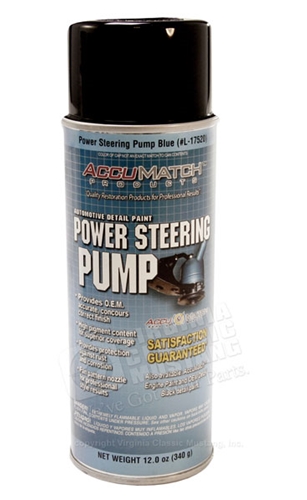 Mustang Power Steering Pump Paint